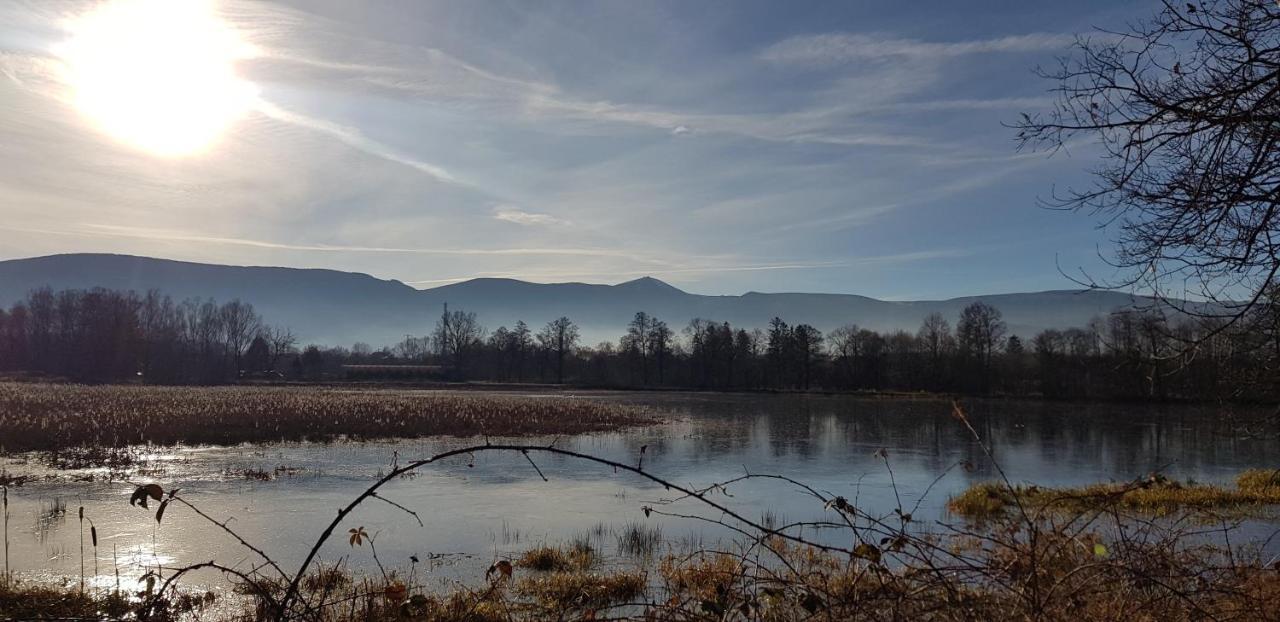 Sniezka House Villa Myslakowice Bagian luar foto