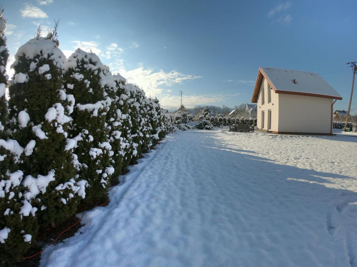 Sniezka House Villa Myslakowice Bagian luar foto