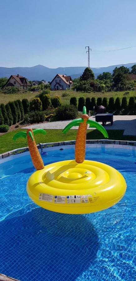 Sniezka House Villa Myslakowice Bagian luar foto